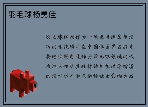 羽毛球杨勇佳